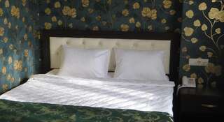 Гостиница Verona Hotel Ессентуки Двухместный номер Делюкс с 1 кроватью-4